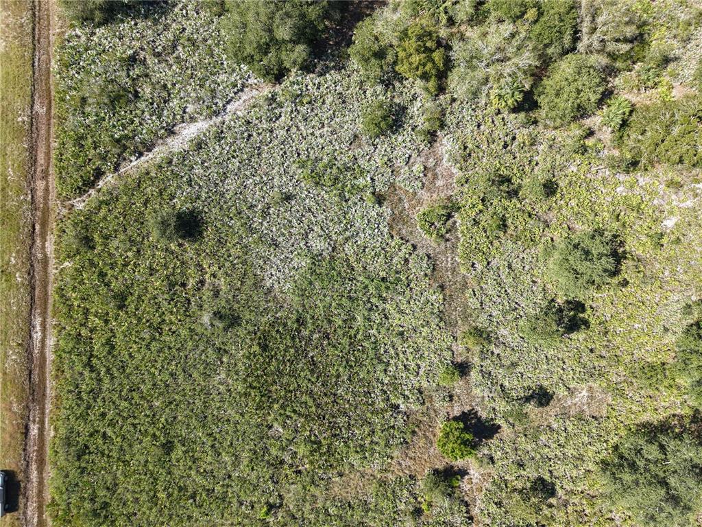 An aerial view shows a plot of land with dense vegetation and a dirt road — 15527 NW 252ND STREET, OKEECHOBEE, FL