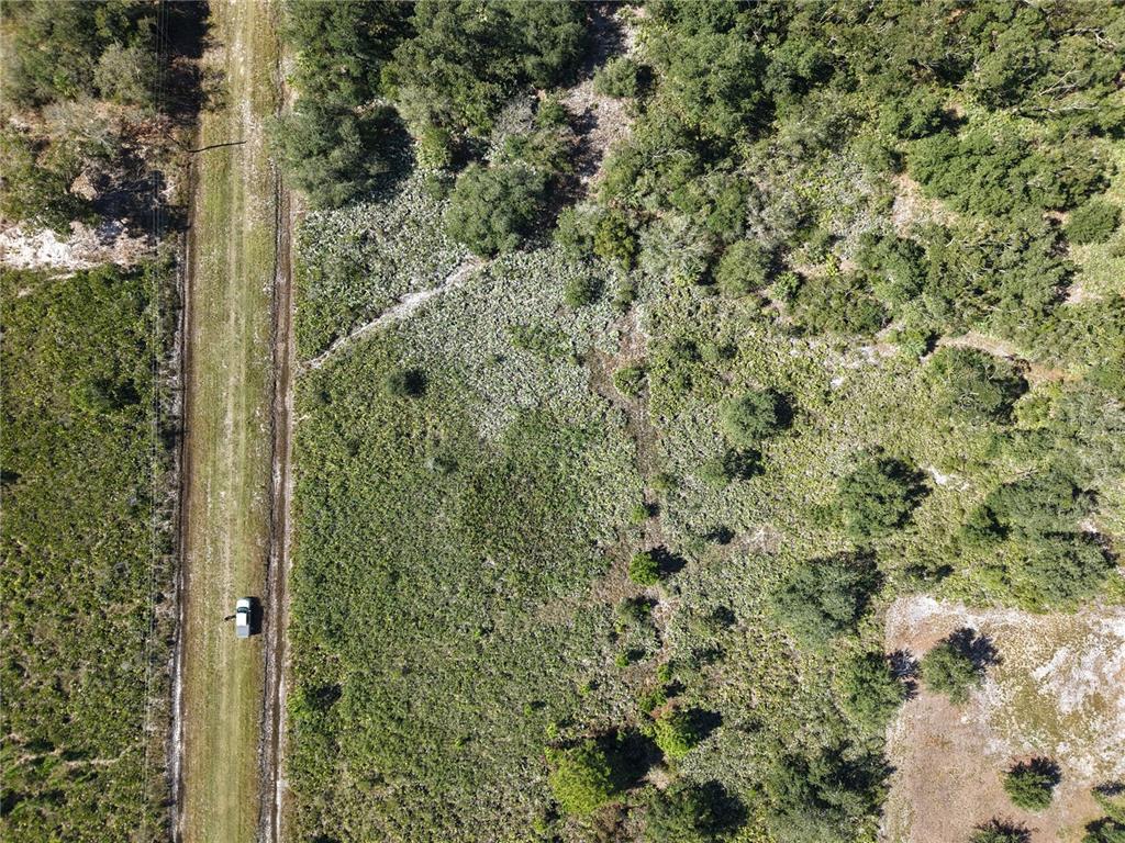 An aerial view shows a dirt path running through a wooded, undeveloped plot of land — 15527 NW 252ND STREET, OKEECHOBEE, FL