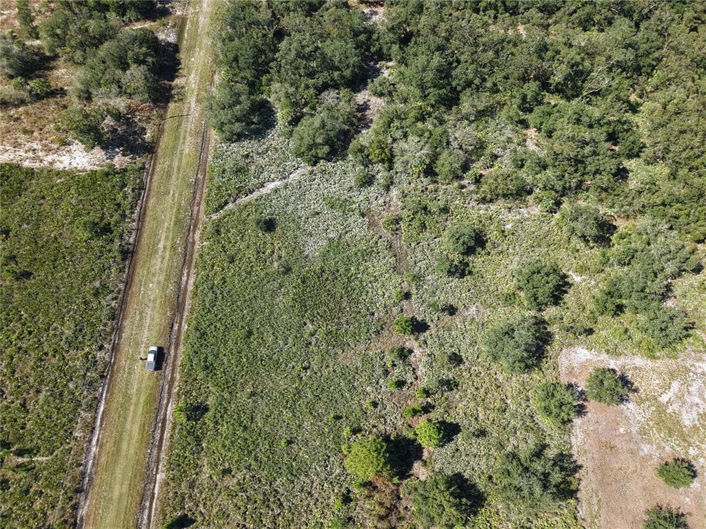 An aerial view shows a dirt road running alongside a wooded, undeveloped plot of land — 15527 NW 252ND STREET, OKEECHOBEE, FL