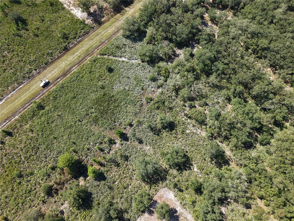 An aerial view shows a wooded lot with a dirt road and a parked vehicle — 15527 NW 252ND STREET, OKEECHOBEE, FL