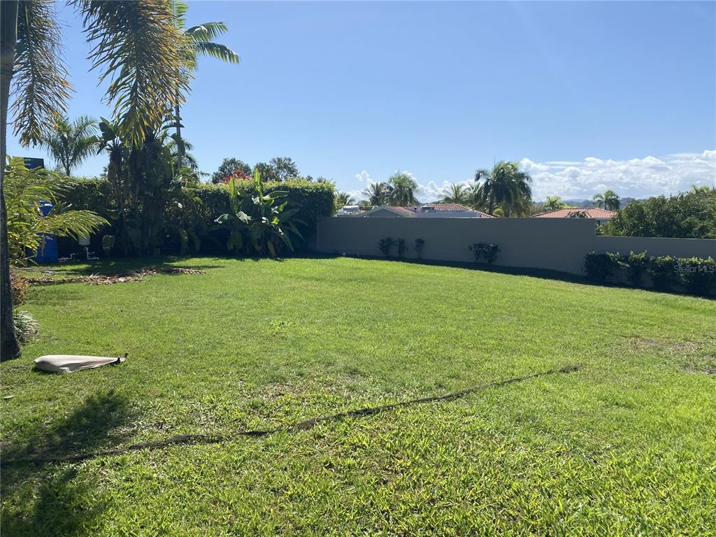 A grassy backyard features a tall privacy wall, tropical landscaping, and palm trees — 268 DORADO BEACH EAST, DORADO, PR