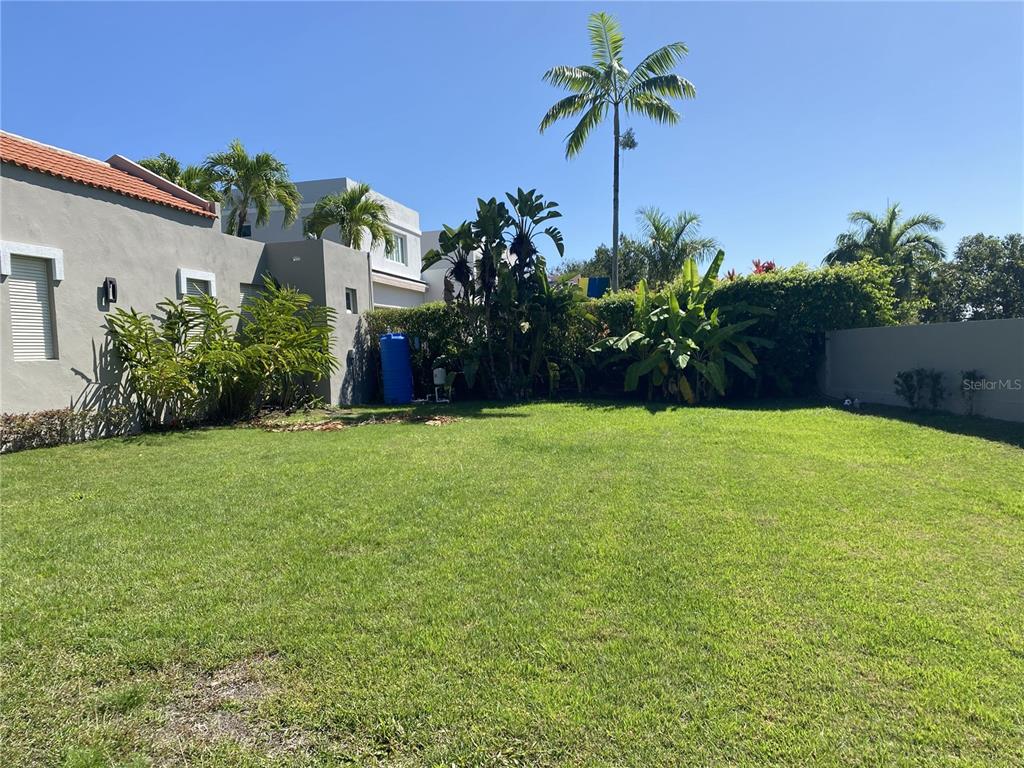 A grassy backyard features a gray house, lush tropical plants, and a tall palm tree — 268 DORADO BEACH EAST, DORADO, PR