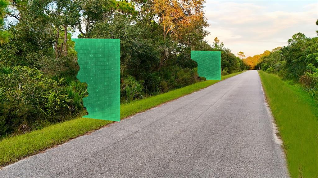 A paved road runs alongside a wooded area with two green digital overlays — 1510 ERROL STREET, LAKE PLACID, FL