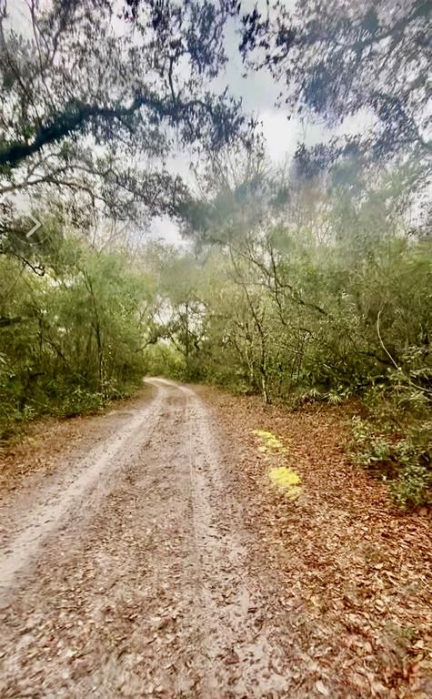 A dirt path winds through a wooded area covered in fallen leaves — 3986 S PELICAN AVENUE, INVERNESS, FL