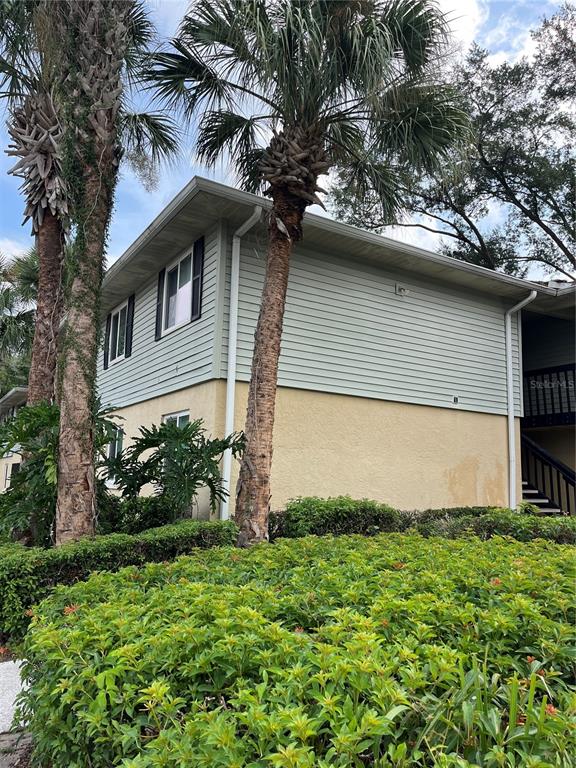 A two-story building with light-colored siding and stucco exterior stands behind a lush green hedge — 211 THORN TREE PLACE, BRANDON, FL