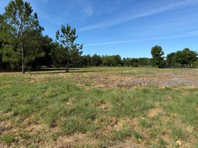 A wide, grassy, sunlit field features scattered trees under a clear blue sky — 7214 OIL WELL ROAD, CLERMONT, FL