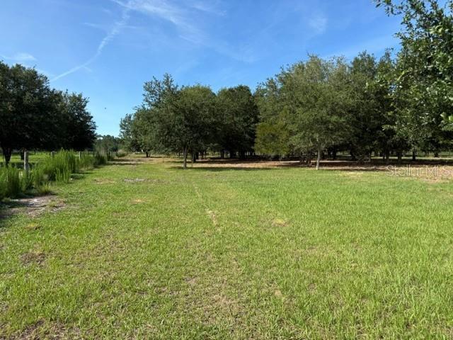 A grassy, open lot features scattered trees under a clear blue sky — 7214 OIL WELL ROAD, CLERMONT, FL