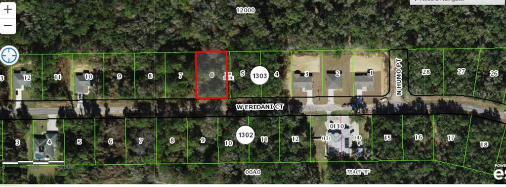 This is a satellite map showing a vacant residential lot highlighted in red on a street — 253 W ERIDANI CT, CITRUS SPRINGS, FL