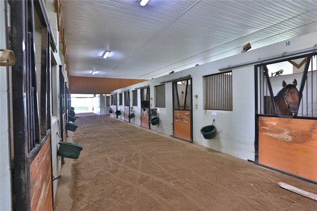 A horse stable aisle features dirt flooring, sliding stall doors, and a horse in a stall — 19431 NE 17TH PLACE, WILLISTON, FL