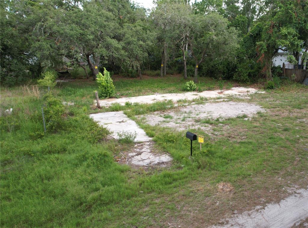 An overgrown vacant lot features a concrete slab foundation and a single mailbox — 11406 POLO STREET, NEW PORT RICHEY, FL