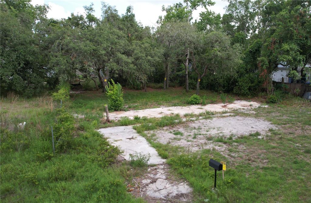 A vacant lot features a concrete slab foundation surrounded by trees and overgrown grass — 11406 POLO STREET, NEW PORT RICHEY, FL