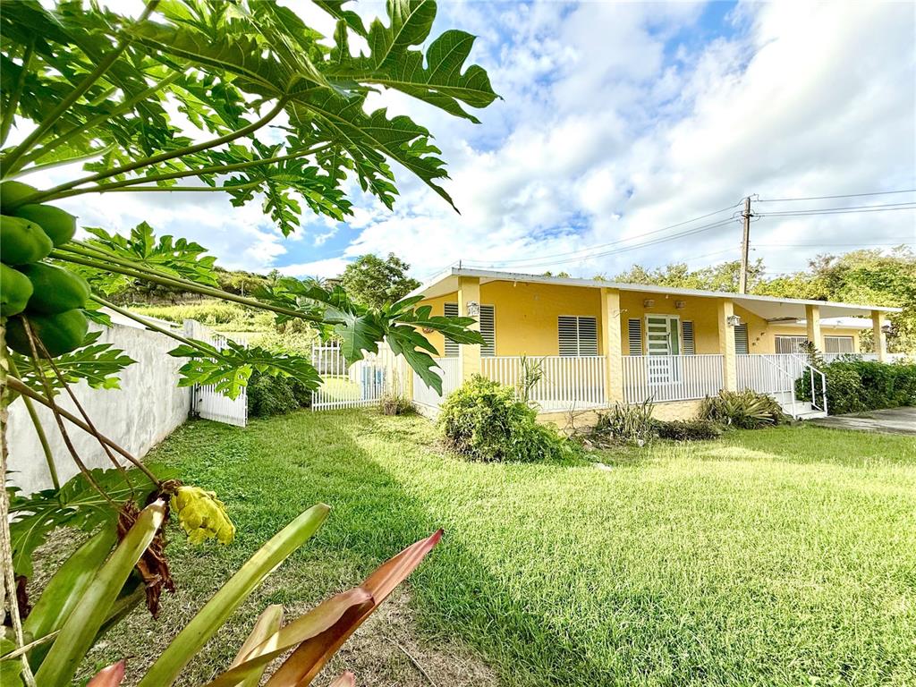 A yellow house with a front porch stands behind a grassy yard and papaya tree — 19 C1 UNIT 19, RIO GRANDE, PR