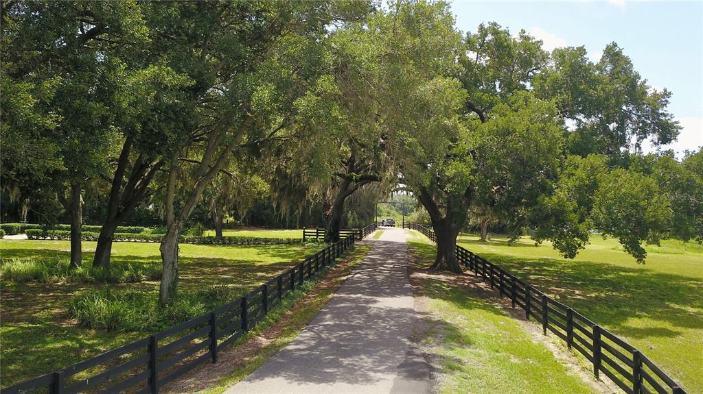 A paved driveway lined with black wooden fences leads through a canopy of large trees — 16945 W PHIL C PETERS ROAD, WINTER GARDEN, FL