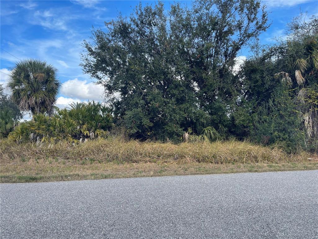 A paved road runs in front of a vacant lot with dense trees and vegetation — Lot#13 IRONDALE ROAD, NORTH PORT, FL