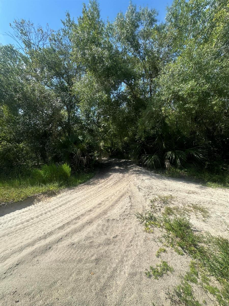 A sandy dirt path leads into a dense, tree-lined forest area — 22128 NW 258th Street, Okeechobee FL 34972, OKEECHOBEE, FL