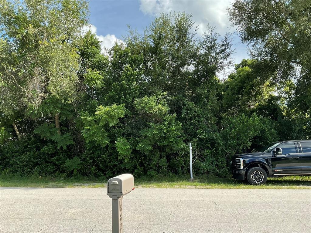 A black pickup truck is parked next to a wooded lot with a mailbox — 883 TRUMBULL STREET, DELTONA, FL
