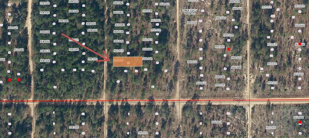 Lot 36 PAXON