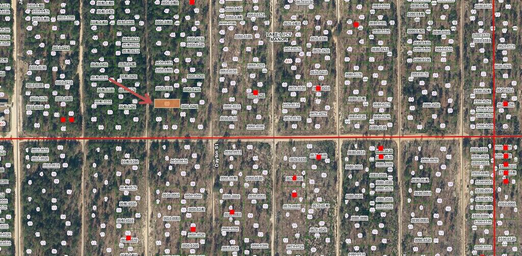 This is a map showing a highlighted rectangular land parcel within a wooded area — Lot 36 PAXON, INTERLACHEN, FL