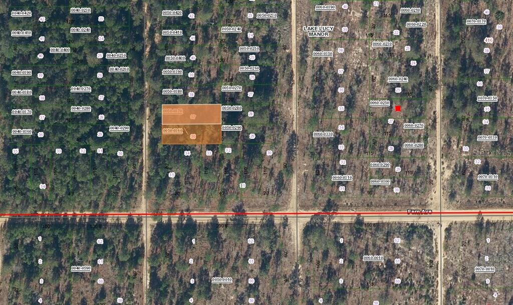This is a map showing property lot lines and parcel numbers over a wooded area — Lot 36 PAXON, INTERLACHEN, FL