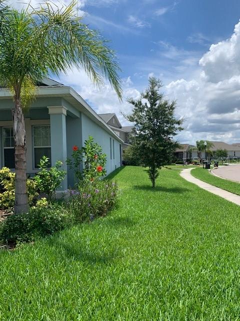 A light blue house with a palm tree and landscaping sits beside a paved sidewalk — 14072 GOLD BRIDGE DRIVE, ORLANDO, FL