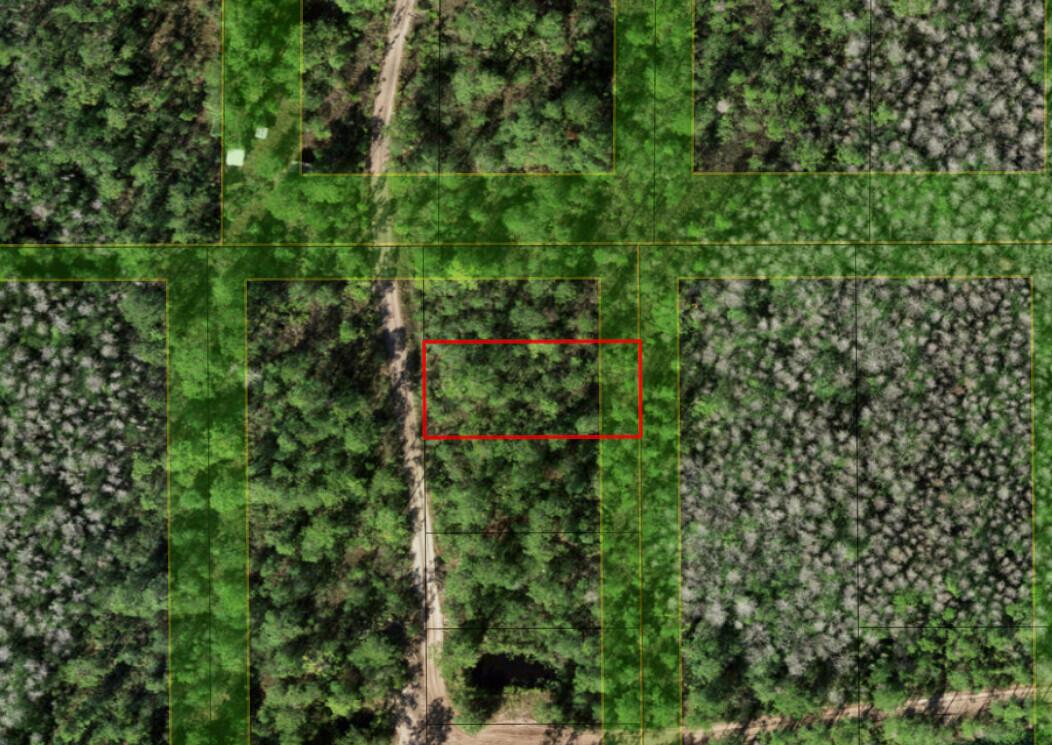 An aerial map view shows a rectangular property lot outlined in red within a wooded area — 0 Holopaw Groves Road, FL 34772, FL
