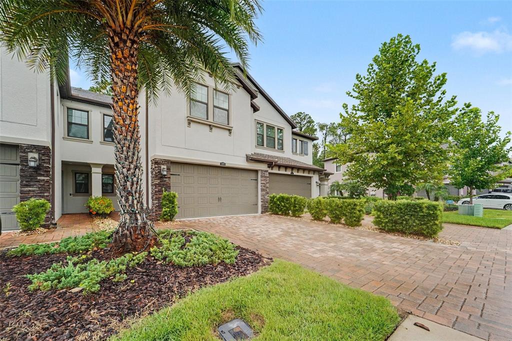 A two-story townhouse with a stone-accented facade, a paved driveway, and a palm tree — 5150 SAN MARTINO DRIVE, WESLEY CHAPEL, FL