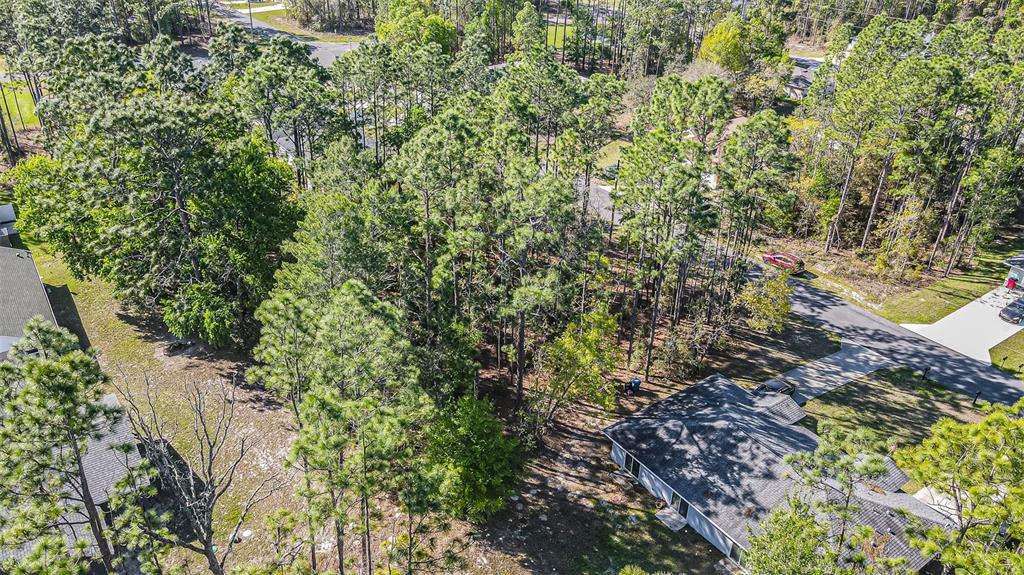 An aerial view shows a wooded lot situated between two residential houses and a street — 9411 N MENDOZA WAY, CITRUS SPRINGS, FL