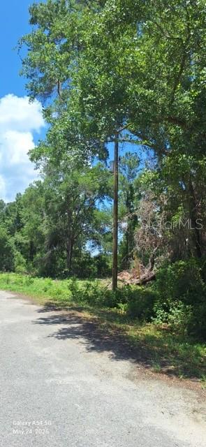 A utility pole stands in a wooded area next to a paved road — Lot 15 FICHER LANE, OCKLAWAHA, FL