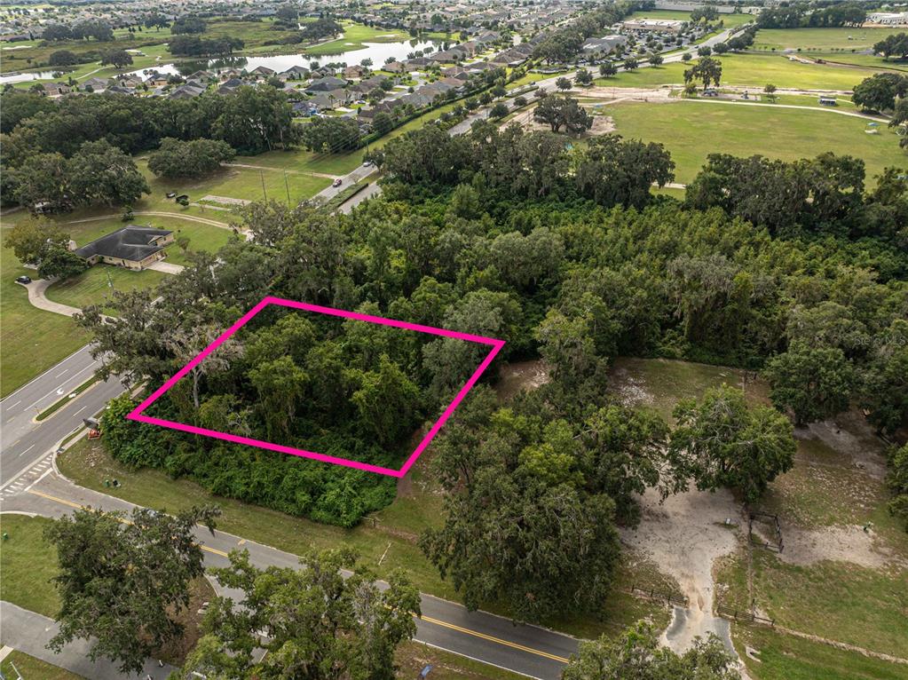 An aerial view shows a rectangular plot of land outlined in pink amidst wooded surroundings — 6974 POWELL ROAD, WILDWOOD, FL