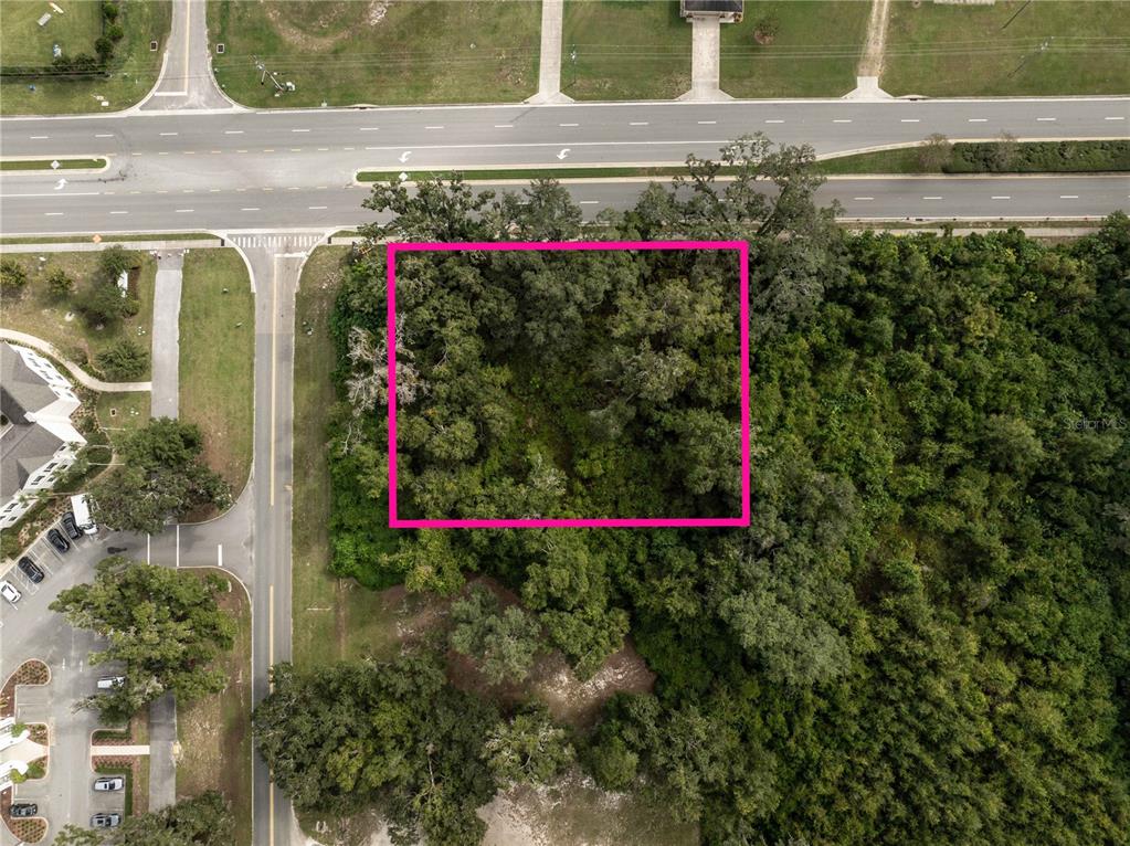 An aerial view shows a rectangular, wooded plot of land outlined in pink near a road — 6974 POWELL ROAD, WILDWOOD, FL