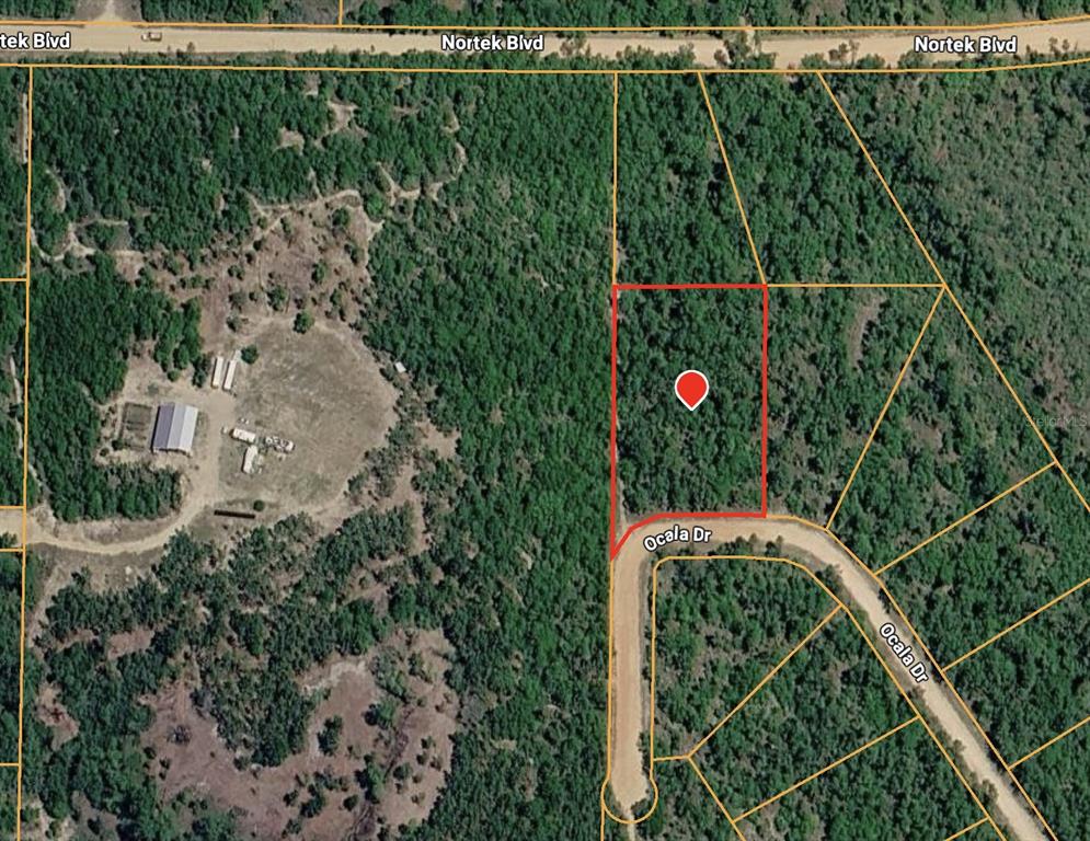 This is an aerial map view showing a rectangular plot of land highlighted in red — OCALA DRIVE, ALFORD, FL