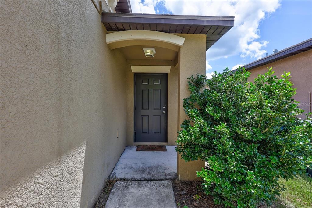 A covered entryway features a dark gray front door and a large green bush — 14106 COVERT GREEN PLACE, RIVERVIEW, FL