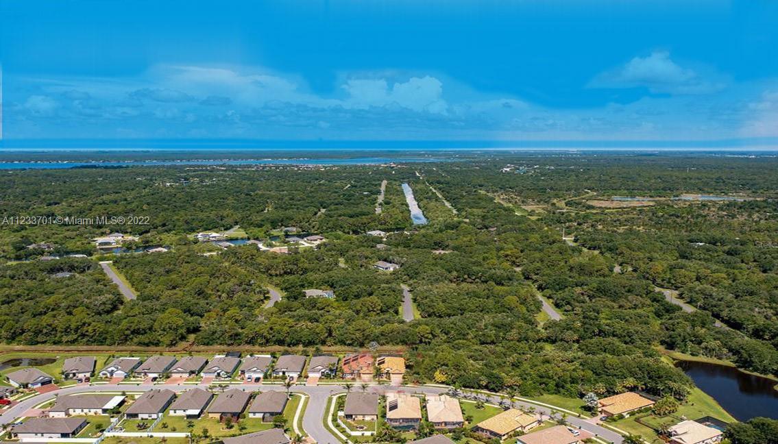 An aerial view shows a suburban neighborhood bordered by dense forest and a distant waterway — 2054 Applegate Ave, Port Charlotte FL 33953, PORT CHARLOTTE, FL