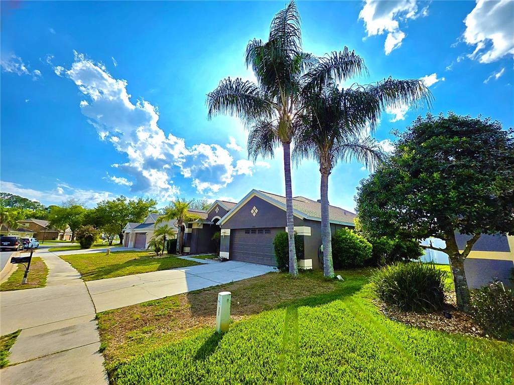 A single-story house with a two-car garage and two palm trees in the front yard — 7927 ROUNDELAY DRIVE, NEW PORT RICHEY, FL