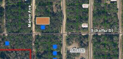 MARION AVENUE, INTERLACHEN, FL — photo 2 of 5