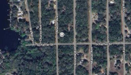 MARION AVENUE, INTERLACHEN, FL — photo 3 of 5