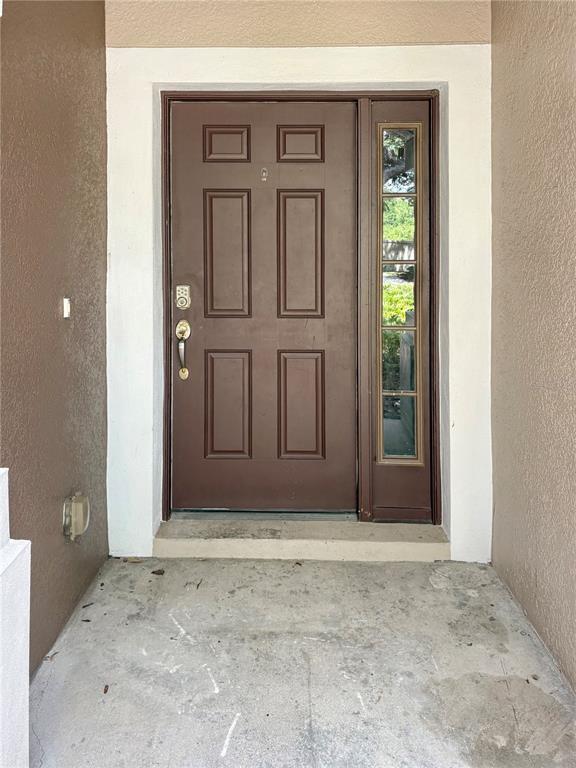 A brown front door with a side window light sits within a concrete entryway — 4924 CHATHAM GATE DRIVE, RIVERVIEW, FL