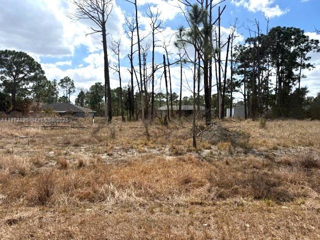 245 Moon River Avenue, Lake Placid FL 33852