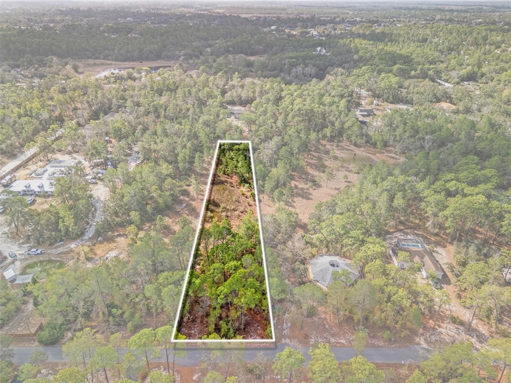 An aerial view shows a trapezoidal plot of land outlined in white amidst a forest — 9142 MICHIGAN AVENUE, WEEKI WACHEE, FL