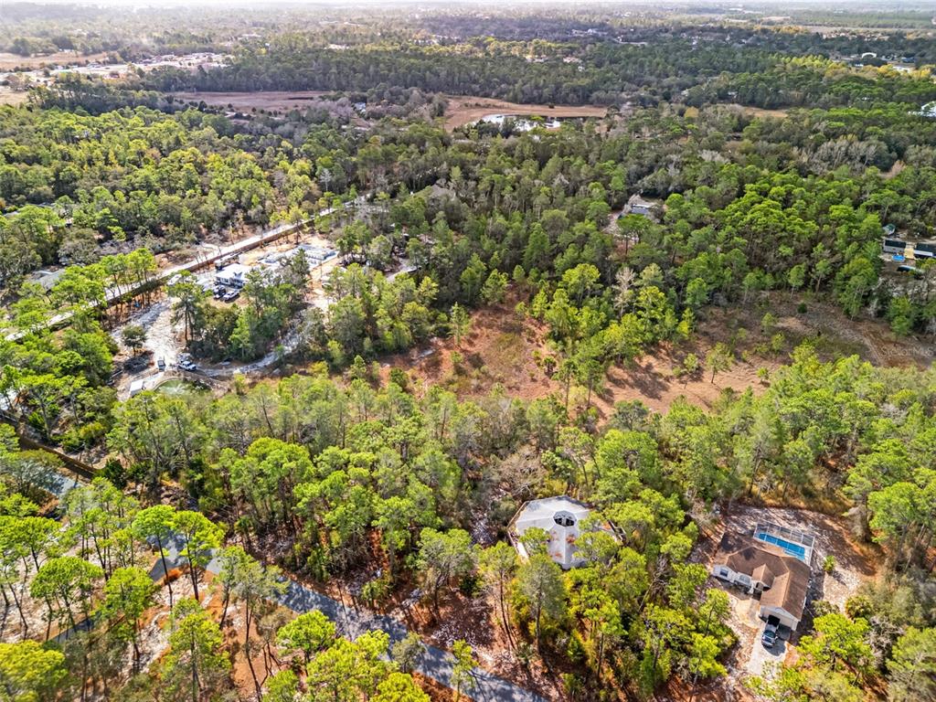 An aerial view shows a wooded lot with a house, a pool, and a geodesic dome — 9142 MICHIGAN AVENUE, WEEKI WACHEE, FL