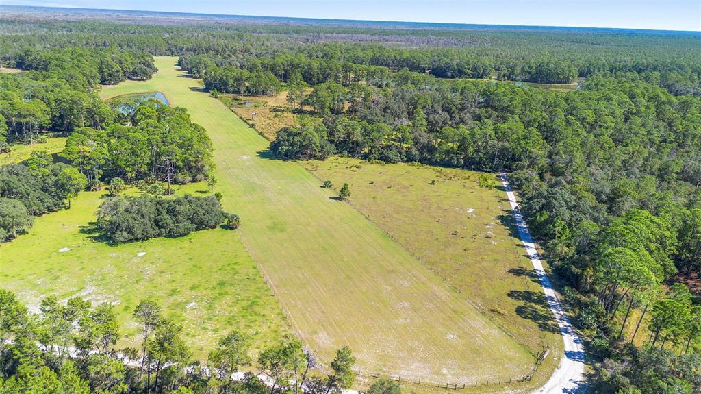 An aerial view shows a large, grassy field bordered by dense forest and a dirt road — DEEP WOODS ROAD, PAISLEY, FL