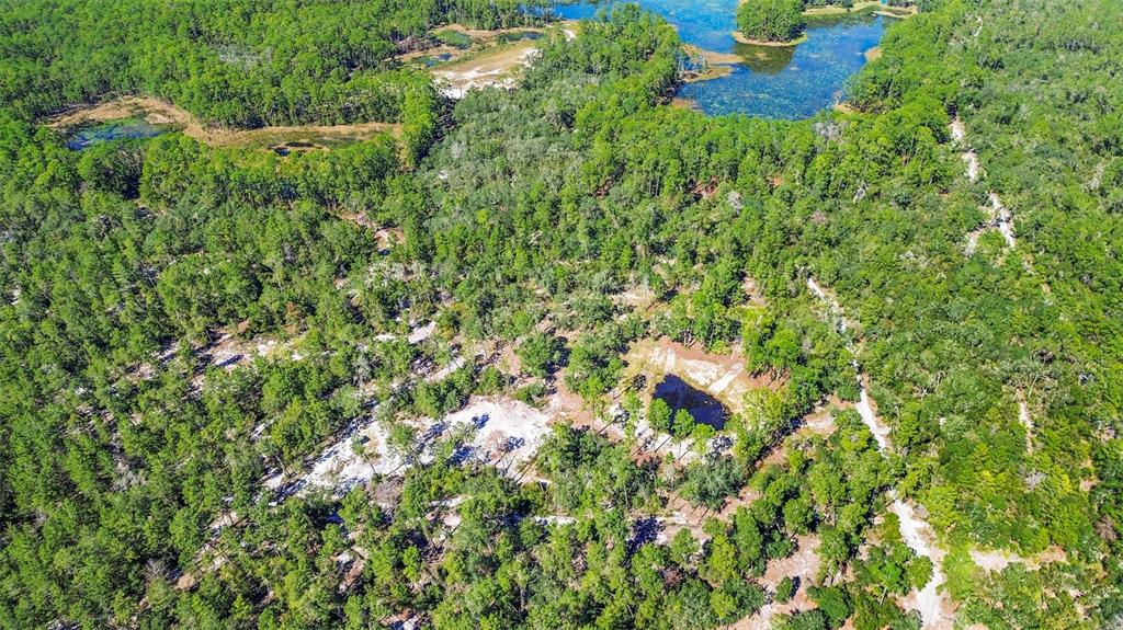 An aerial view shows a wooded landscape with a small pond and dirt trails — DEEP WOODS ROAD, PAISLEY, FL