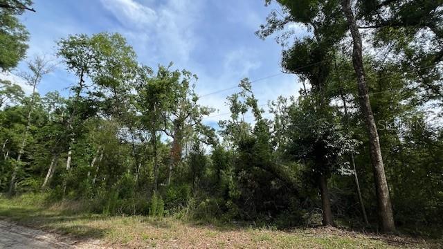 A wooded, undeveloped lot with tall trees and a dirt road in the foreground — SW BUMBLE STREET, FORT WHITE, FL