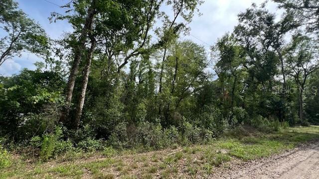 A wooded, undeveloped lot with dense trees and brush borders a dirt road — SW BUMBLE STREET, FORT WHITE, FL