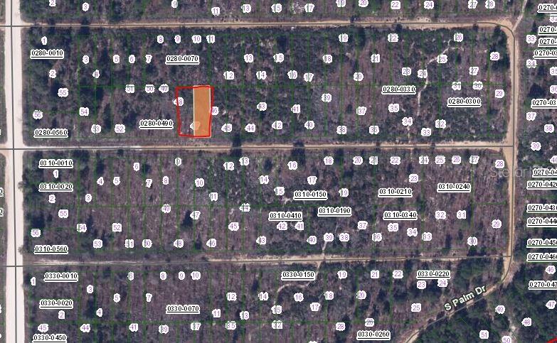 216 BIRCH STREET, INTERLACHEN, FL — photo 2 of 3