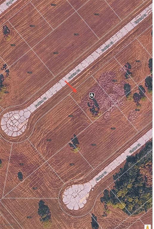 This is an aerial map view of a residential lot located along a cul-de-sac — 12394 CORBINA COURT, PLACIDA, FL