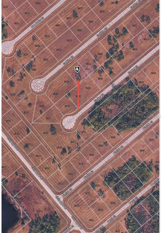 This is an aerial map showing a vacant residential lot highlighted with a red arrow — 12394 CORBINA COURT, PLACIDA, FL