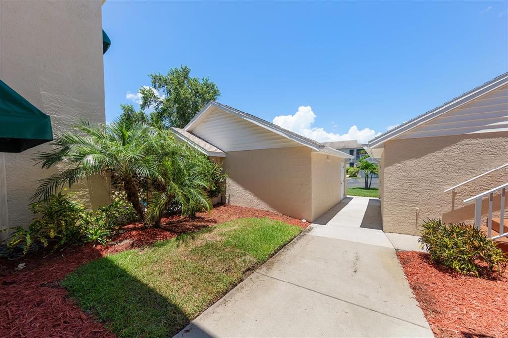 A concrete walkway leads between two tan buildings with a palm tree and landscaping — 6330 99TH WAY N UNIT 14D, SEMINOLE, FL