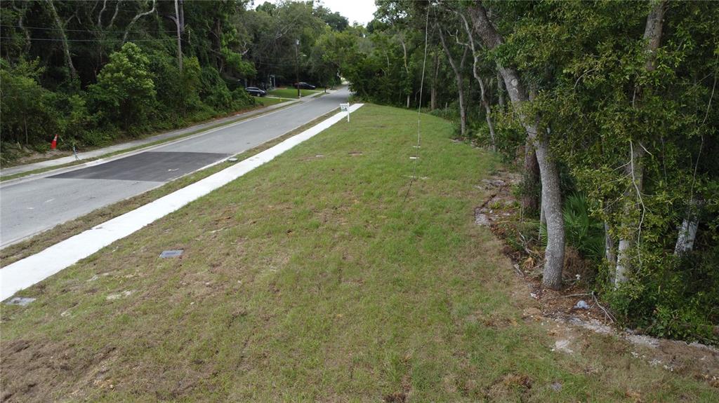 An elevated view of a grassy vacant lot next to a paved road and trees — BAYWOOD STREET, ALTAMONTE SPRINGS, FL
