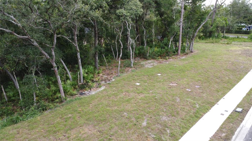 An elevated view of a grassy vacant lot bordered by a line of trees — BAYWOOD STREET, ALTAMONTE SPRINGS, FL